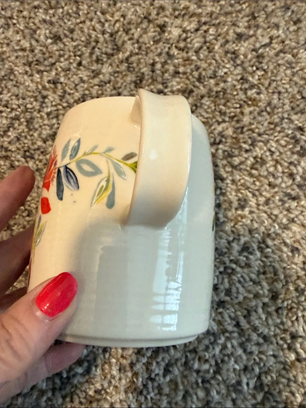 Anthropologie starla halfmann